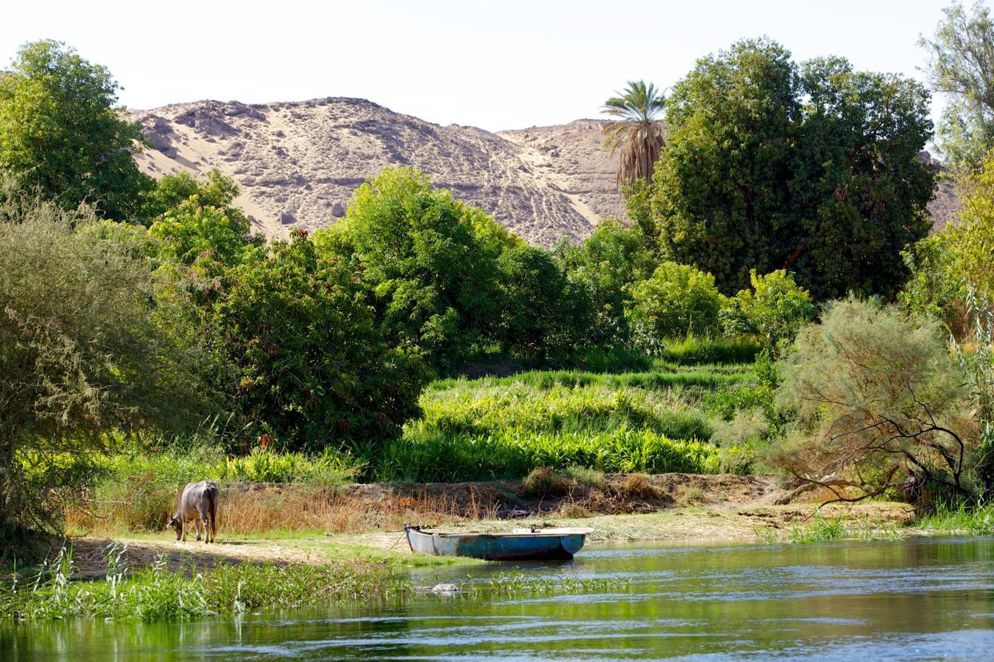 Hadouta Masreya Nubian Guest House Assuan Exterior foto